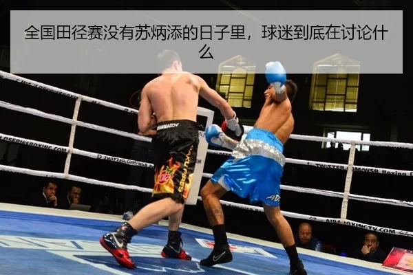 全国田径赛没有苏炳添的日子里，球迷到底在讨论什么